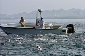 The Lauren B - Connecticut and Rhode Island Fishing Charters